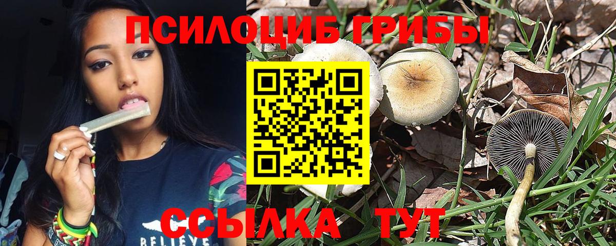 Псилоцибиновые грибы мухоморы Салават