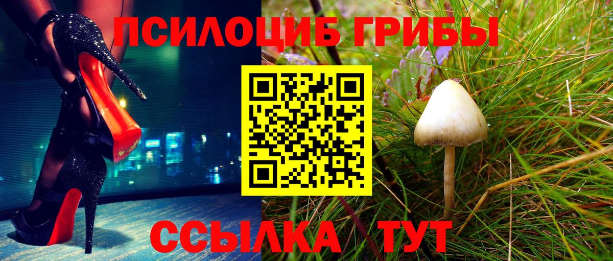 Салават  Псилоцибиновые грибы Psilocybe  Вход с VPN 